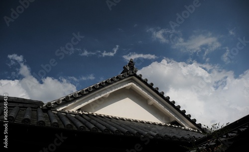 日本、大阪、旧杉山家住宅、庭園、お屋敷、重要文化財、富田林市、歴史的建造物、木造階建、和風住宅