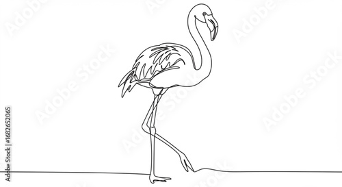 Flamingo Line Drawing