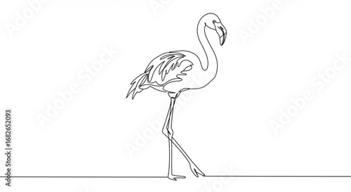 Flamingo Line Art