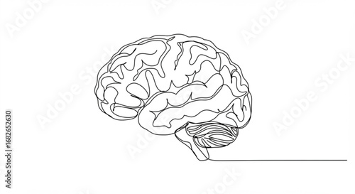 Continuous Line Drawing of Human Brain