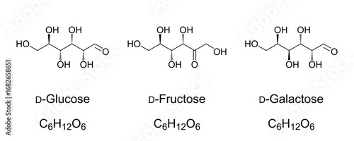 Glucose, fructose, and galactose, chemical and skeletal formulas. Most important sugar compounds in human metabolism, monosaccharides, a subcategory of carbohydrates, all three in D-configurations.