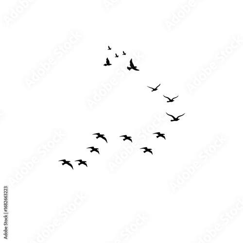 Slika na platnu Abstract flying birds vector set for nature, migration, and wildlife themes