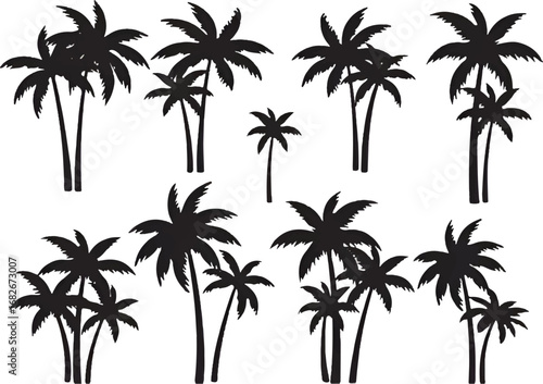 I see the image you uploaded it contains silhouettes of palm trees*