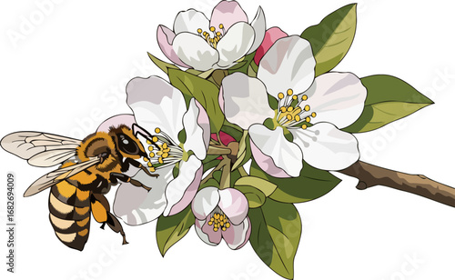 honeybees embrace a delicate dance of springs sweet nectar, isolated on transparent background