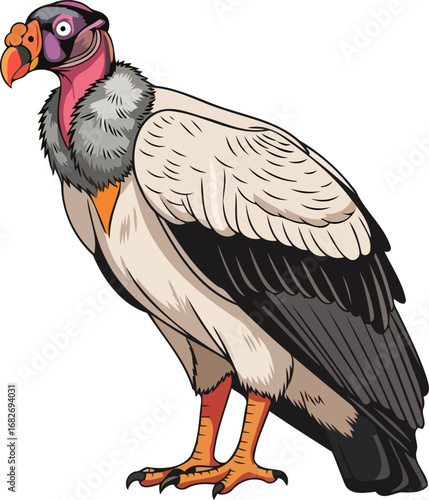 king vulture majestic portrait a vivid illustration of avian power and wild beauty, isolated on transparent background