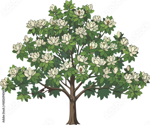 magnolia tree in full bloom a symbol of springs gentle awakening and natures tranquil beauty, isolated on transparent background