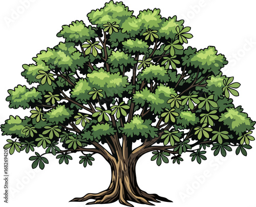 majestic ancient tree lush foliage, mighty trunk, and serene nature illustration, isolated on transparent background