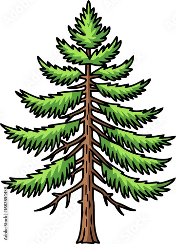 majestic evergreen conifer a symbol of enduring strength and tranquil beauty in nature, isolated on transparent background