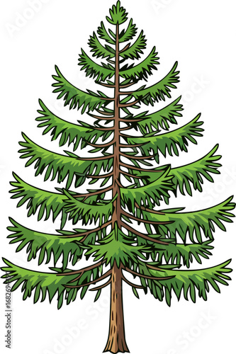 majestic evergreen conifer a serene nature illustration for holiday designs, isolated on transparent background