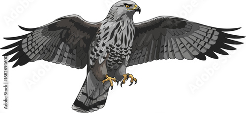 majestic gray hawk in flight wings of freedom, power, and untamed beauty, isolated on transparent background