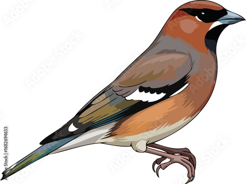 majestic hawfinch a symbol of natures resilience and beauty, isolated on transparent background