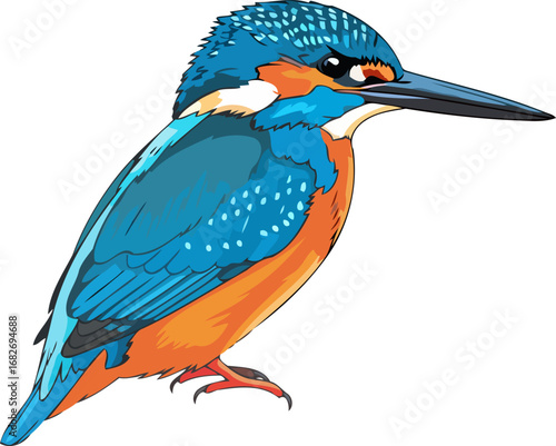 majestic kingfisher azure plumage, fiery breast, riverbank hunter, isolated on transparent background