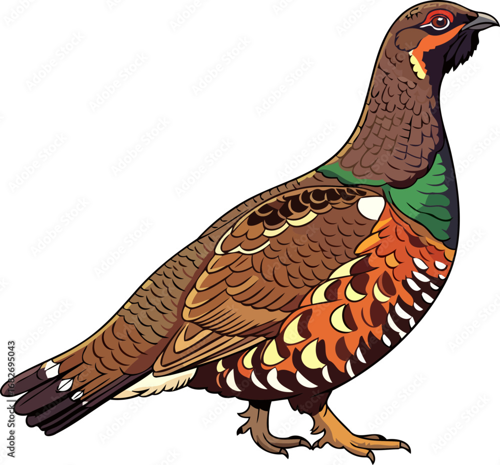 Obraz premium majestic spruce grouse a vibrant portrait of wild avian beauty in the boreal forest, isolated on transparent background