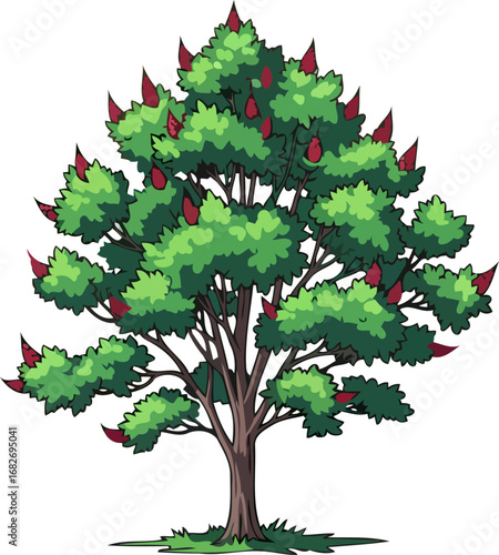 majestic staghorn sumac tree vibrant autumnal hues, natures fiery embrace, isolated on transparent background