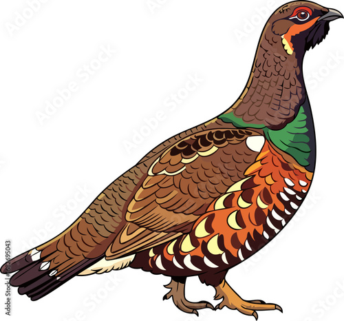 majestic spruce grouse a vibrant portrait of wild avian beauty in the boreal forest, isolated on transparent background