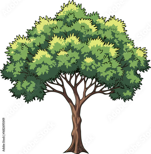 majestic summer tree a lush green canopy of life and growth, isolated on transparent background