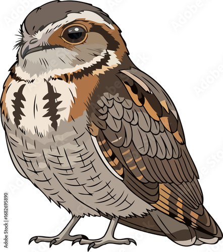 serene young screech owl a masterpiece of natures subtle elegance, isolated on transparent background