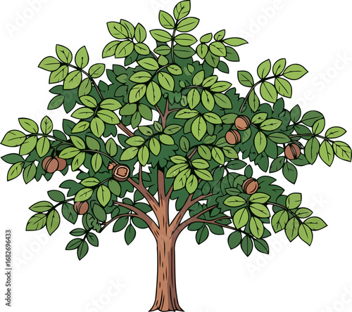 the bountiful walnut tree natures harvest, abundant crop, summers gift, isolated on transparent background