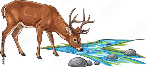 thirsty deer a serene moment at the stream, natures tranquil embrace, isolated on transparent background