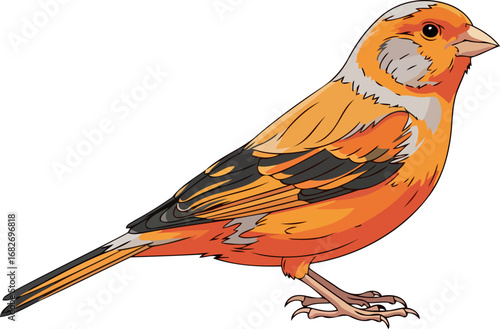 vibrant canary illustration a burst of sunshine, joyful songbird artwork, isolated on transparent background