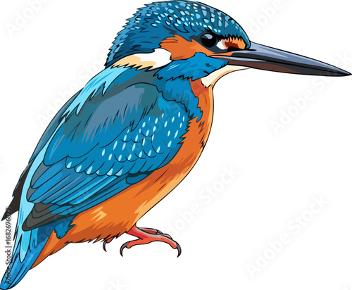 vibrant kingfisher a jeweltoned bird in profile, exquisite avian detail, isolated on transparent background