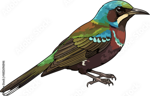 vibrant resplendent quetzal majestic rainforest bird, emerald jewel of the cloud forest, isolated on transparent background