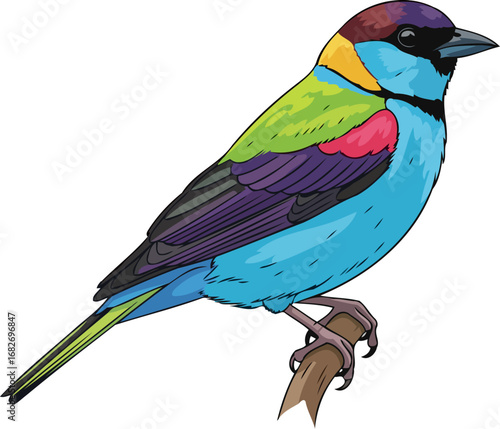 vibrant rainbow bird a jeweltoned avian masterpiece, perched majestically on a branch, isolated on transparent background