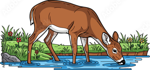 whitetail deers tranquil moment a serene sip by the stream, isolated on transparent background