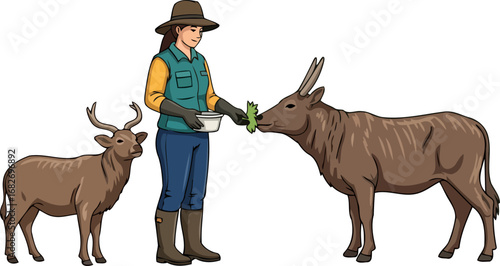 wildlife caregiver gentle feeding of deer and antelope, a symbiosis of nature and humanity, isolated on transparent background