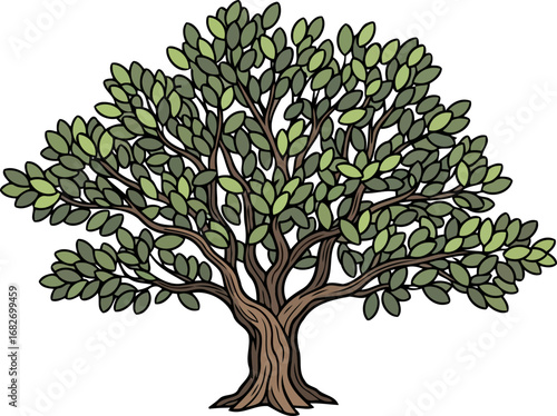 ancient olive tree a symbol of peace, resilience, and longevity, isolated on transparent background