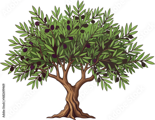 ancient olive tree abundant harvest, symbol of peace and longevity, isolated on transparent background