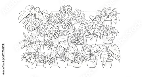Botanical illustration featuring a collection of potted houseplants on display