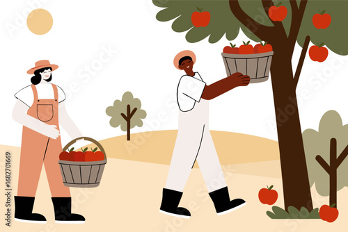 Vector illustration of farmers harvesting apples from a tree, rural countryside scene with people picking ripe red apples into baskets, agricultural concept, simple clean design, isolated flat style.