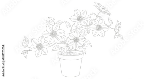 Elegant Clematis Flower Illustration in Pot for Design Projects, Greetings