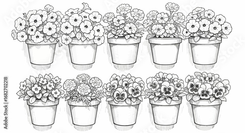 Elegant Floral Potted Plants Sketch Pattern for Decorative Elements Design
