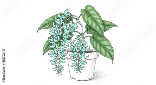 Elegant Jade Vine Illustration in White Pot against Clean Background