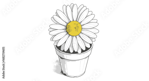 Minimalist sketch of a daisy flower in a pot, on a stark white backdrop