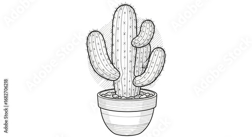 Stylized cactus outline in a pot, adding a touch of botanical simplicity