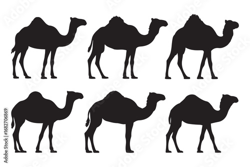 Set of Camels Silhouette Bundle, Animal Icons. Vector black silhouette. with white background