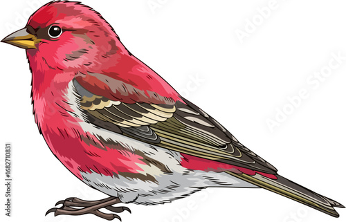 crimsoncolored bird a vivid illustration of natures beauty and grace, isolated on transparent background