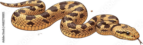 desert snakes silent glide arid beauty, reptilian majesty, wildlife illustration, isolated on transparent background