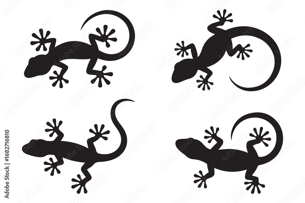 Naklejka premium Set of Gecko Silhouette, Lizard. Vector black silhouette. with white background