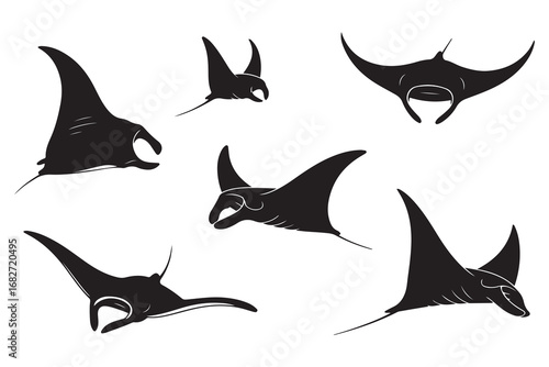Set of Manta Ray Silhouette Bundle, Animal Icons, Sea Life, Ocean Life . Vector black silhouette. with white background