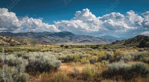 Vast valley landscape under a partly cloudy sky.  Dry, scrubby vegetation stretches across the foreground, leading to a distant mountain range