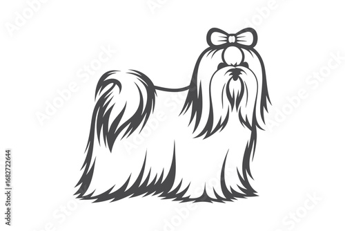 Elegant Shih Tzu with Bow, Detailed Fur and Graceful Lines on White Background