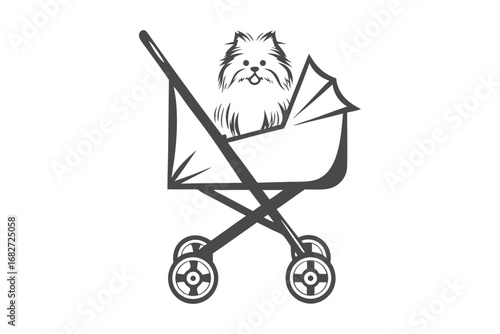 Cute Dog in Stroller, Yorkshire Terrier, Pet in Pram, on White Background