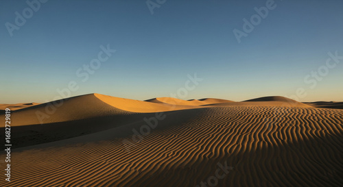 Fototapeta Naklejka Na Ścianę i Meble -  sand dunes in death valley