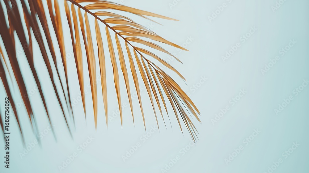 Obraz premium Vivid blue tropical sea and palm trees, shot in 4K using 35mm f2 lens, natural brightness and perfect clarity