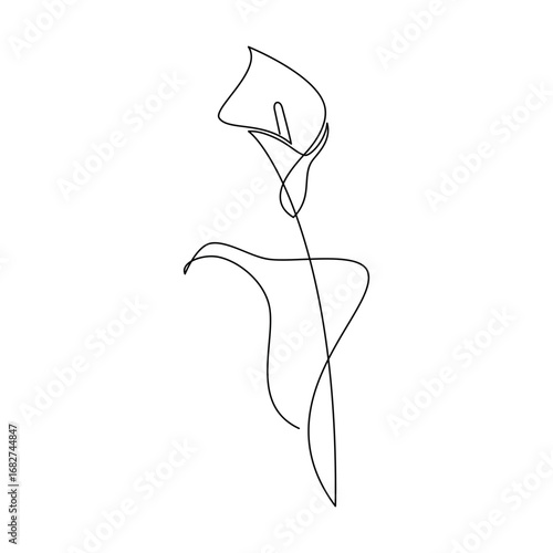 Calla lily flower vector. Linear icon. Line continuous drawing. Floral design, botanical print, card, wall art poster, logo, sign, doodle, hand drawn symbol. Abstract cartoon plant illustration
