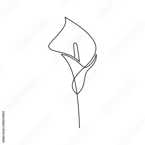 Hand drawn calla lily flower vector. Linear icon. Line continuous drawing. Floral design, botanical print, card, wall art poster, logo, sign, doodle, symbol. Abstract cartoon plant illustration